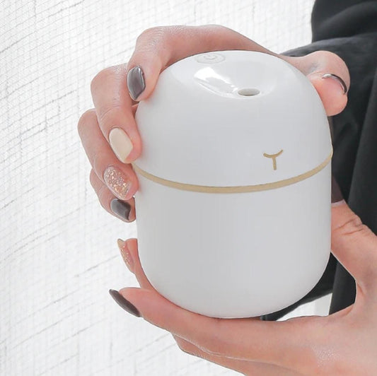 Portable size Diffuser (customized scent)